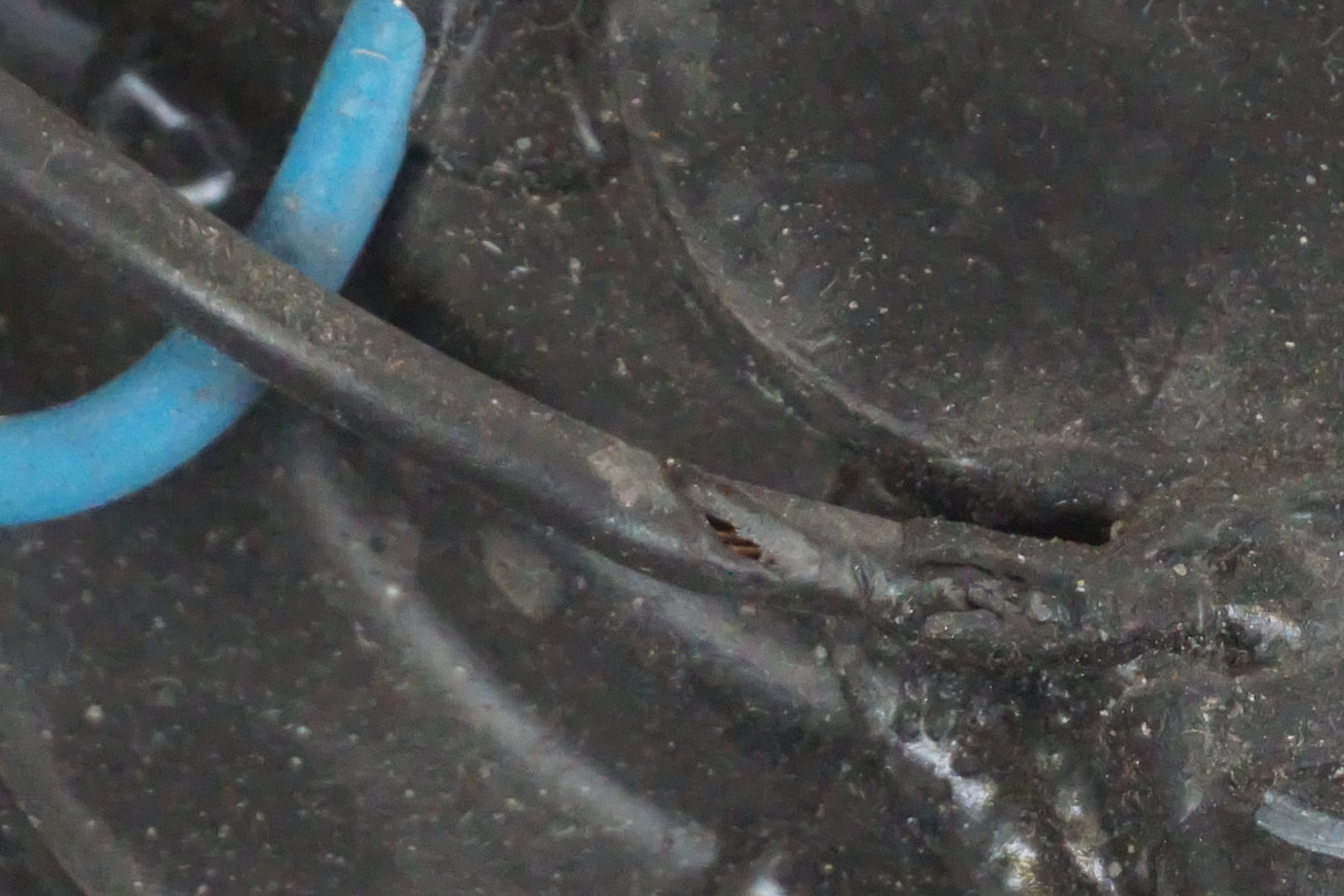 Snett nerifrån på Vattenkylfläkt från en Kawasaki ZX-10R -2005 motorcykel.