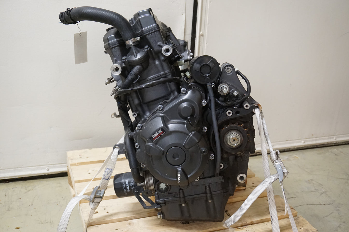 Motor