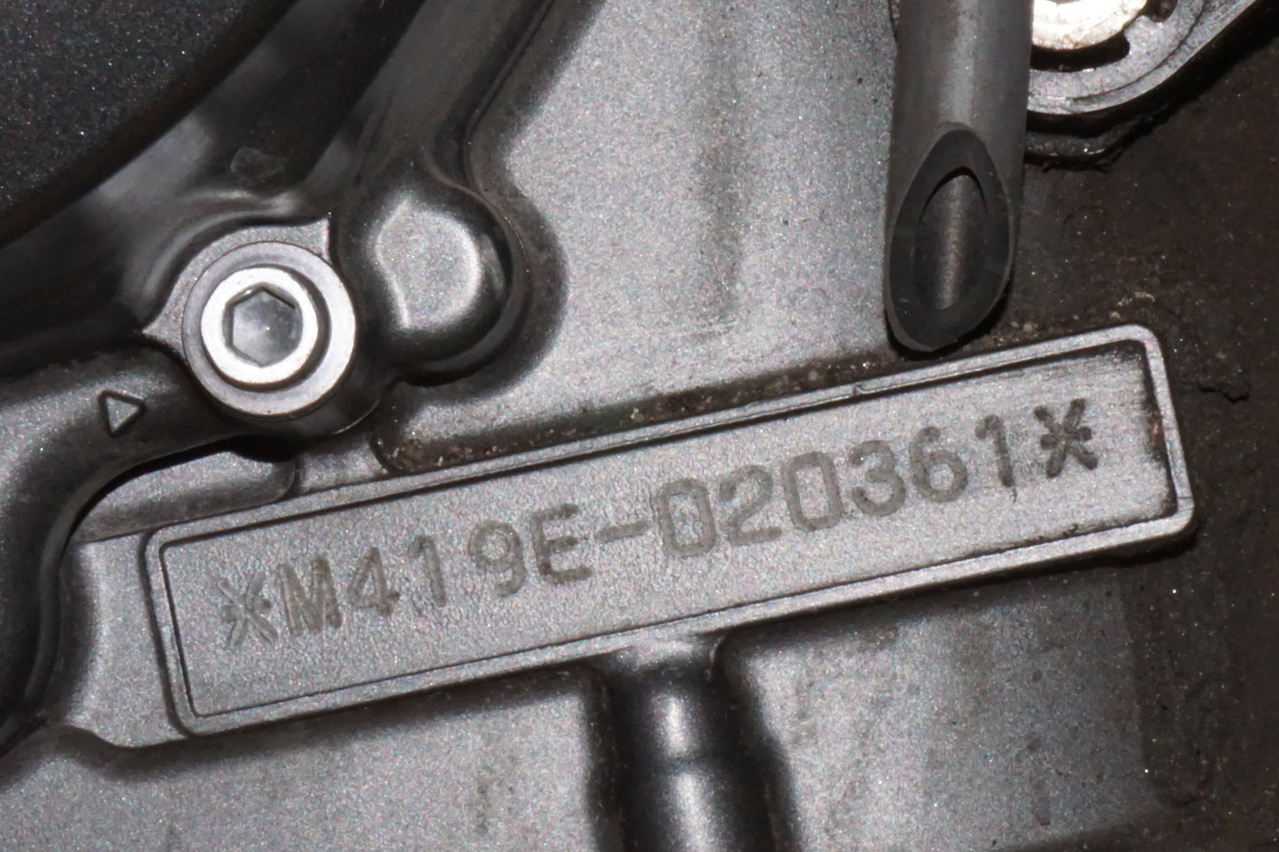 Motor