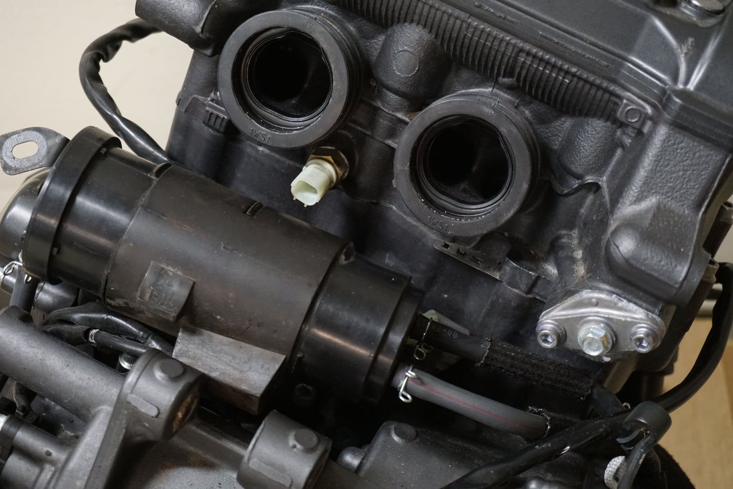 Motor