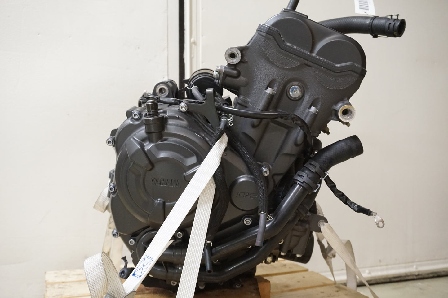 Motor