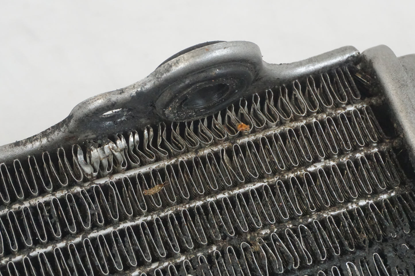 Extrabild6 på Vattenkyl från en Gasgas SM450 -2007 motorcykel.