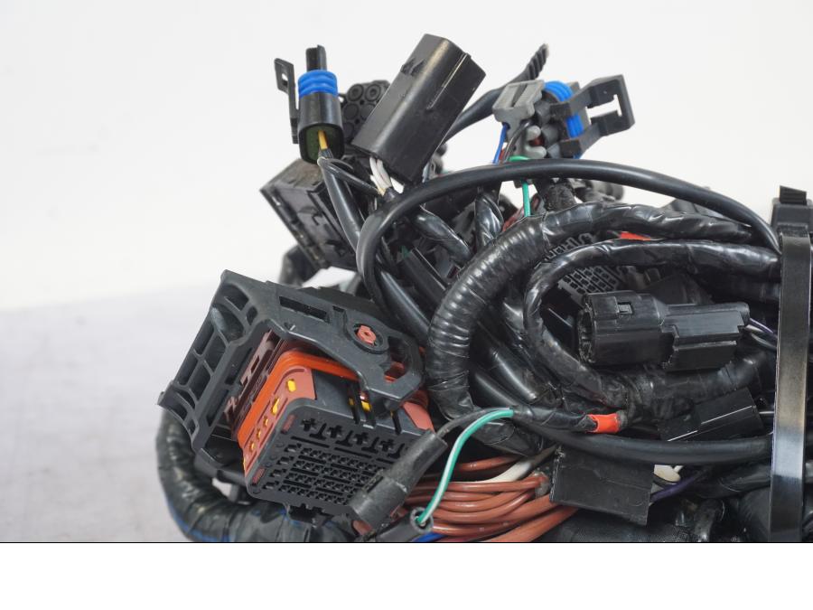 Extrabild1 på Kabelstam från en Triumph Tiger 1200 -2018 motorcykel.