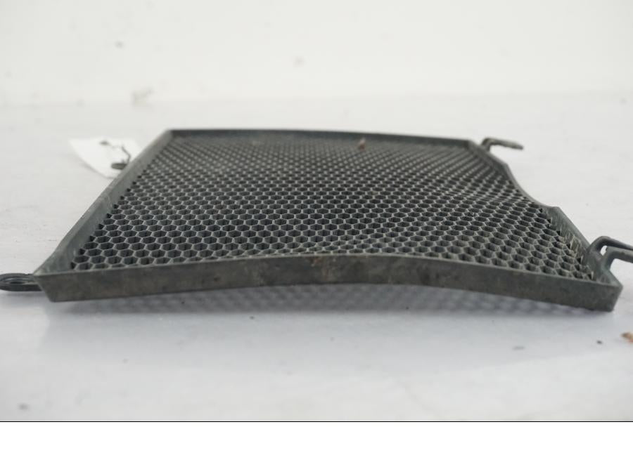 Vänster sida på Vattenkylgaller från en BMW F 800 GS -2008 motorcykel.