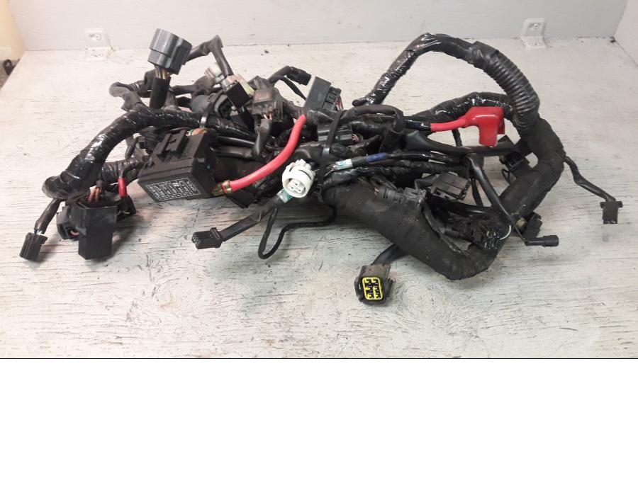 Framsidan på Kabelstam från en Triumph Daytona 675 -2009 motorcykel.