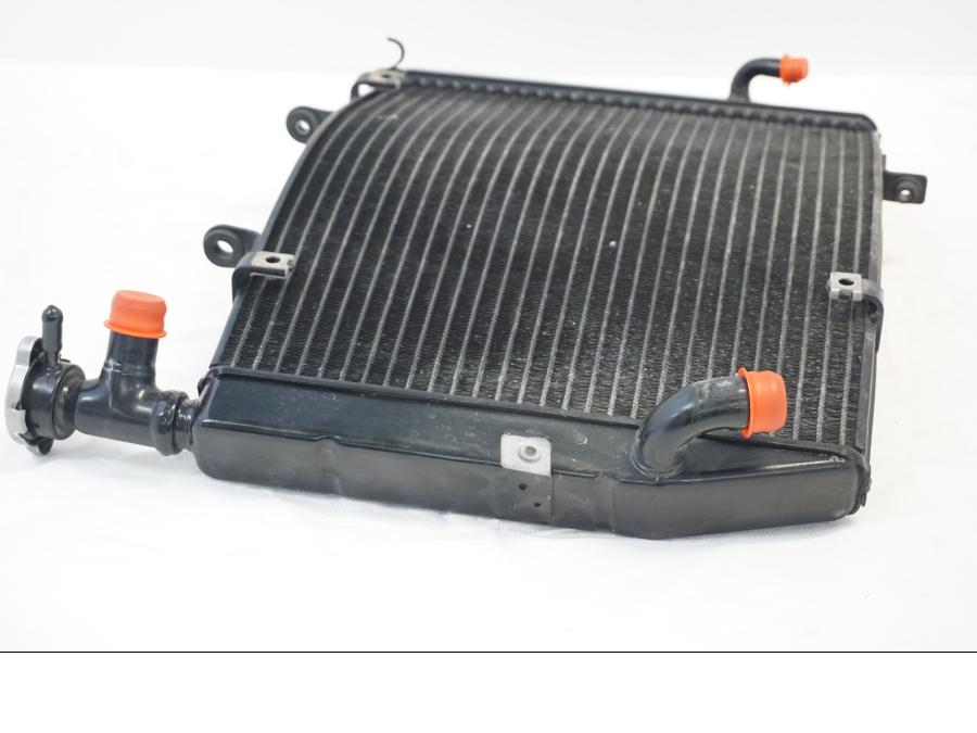 Vänster sida på Vattenkyl från en Triumph Daytona 675 -2010 motorcykel.