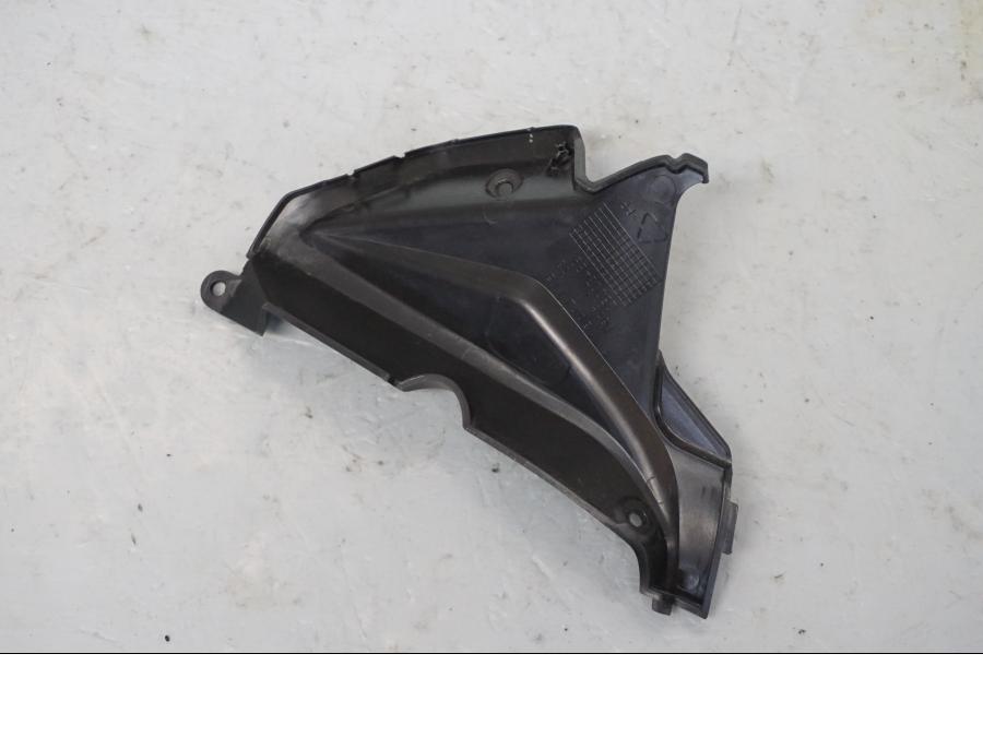 Baksidan på Toppkåpsinsida från en Aprilia Tuono V4R -2018 motorcykel.