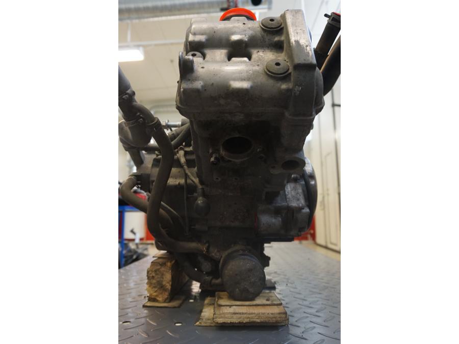 Motor