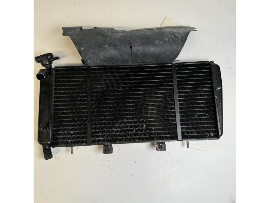 Baksidan på Vattenkyl från en Triumph Sprint ST -2007 motorcykel.