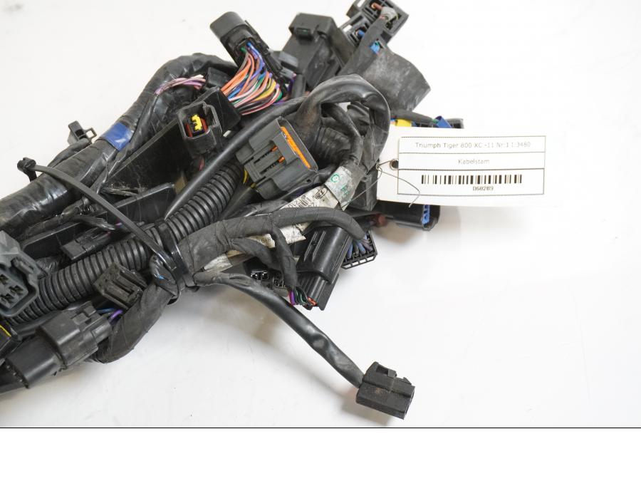 Vänster sida på Kabelstam från en Triumph Tiger 800 -2011 motorcykel.