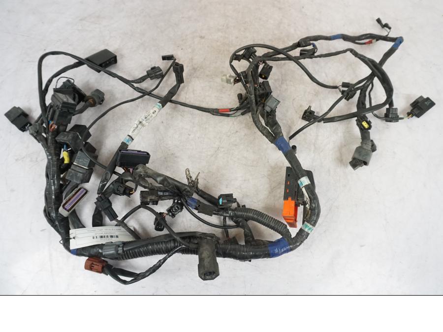 Extrabild6 på Kabelstam från en Triumph Tiger -2009 motorcykel.