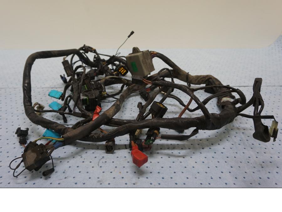 Framsidan på Kabelstam från en Triumph Tiger -2001 motorcykel.