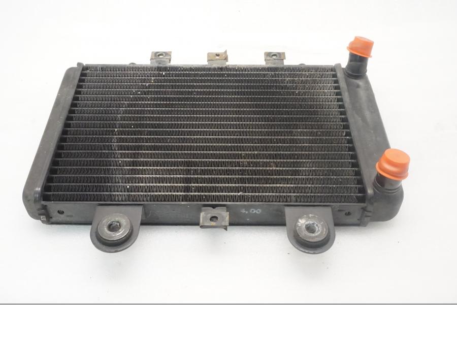 Baksidan på Vattenkyl från en Triumph Legend TT -2000 motorcykel.