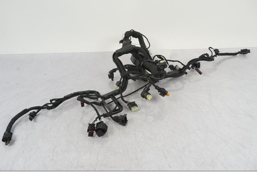 Höger sida på Kabelstam från en BMW R 1250 GS -2023 motorcykel.