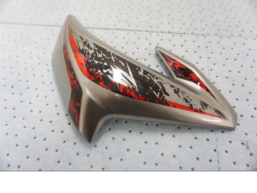 Höger sida på Sidkåpa från en Kawasaki Z 900 -2019 motorcykel.