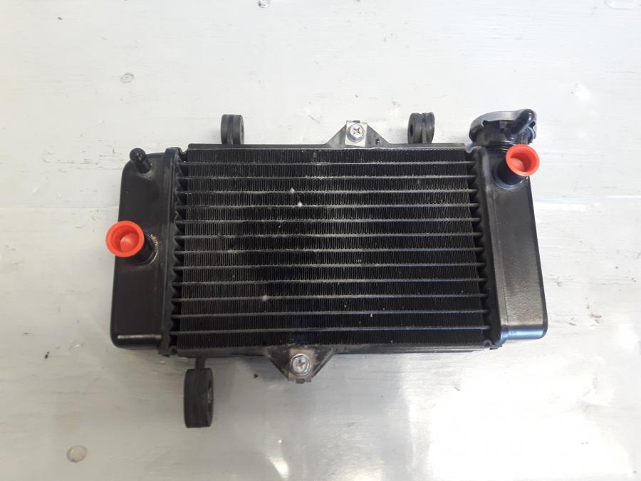 Baksidan på Vattenkyl från en Yamaha MT 125 -2017 motorcykel.