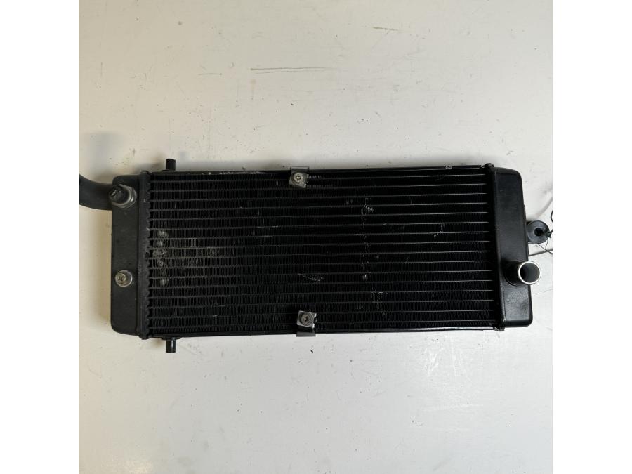 Baksidan på Vattenkyl från en Honda VT 750 -2004 motorcykel.