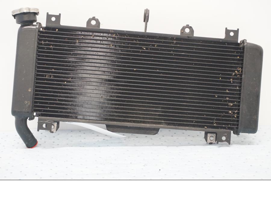 Baksidan på Vattenkyl från en Kawasaki Z 650 ABS -2020 motorcykel.