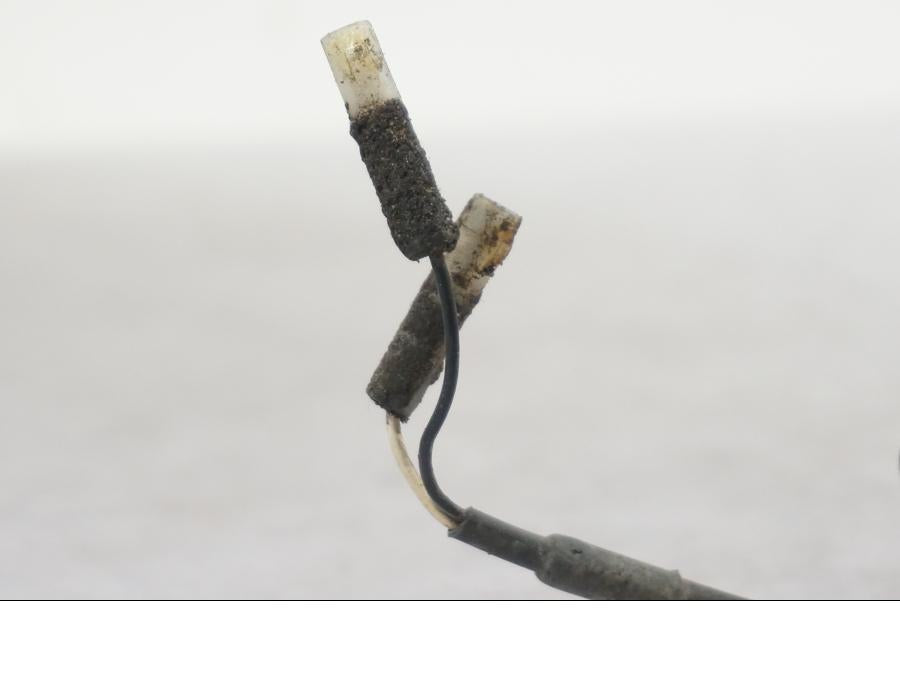 Extrabild2 på Blinkers från en Triumph Tiger -2009 motorcykel.