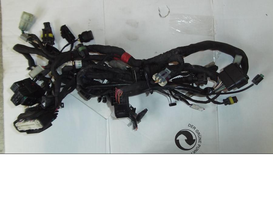 Baksidan på Kabelstam från en Ducati Monster 1100 EVO ABS -2012 motorcykel.