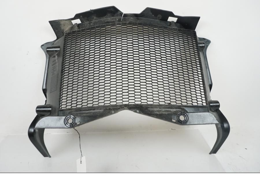 Extrabild1 på Vattenkylgaller från en BMW F 750 GS -2019 motorcykel.