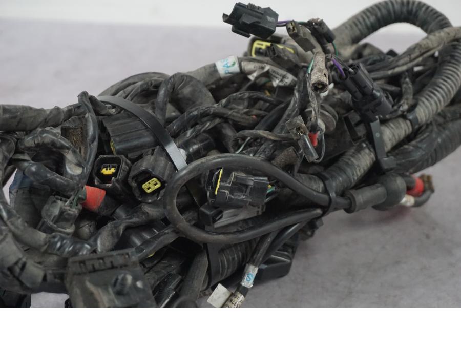 Extrabild1 på Kabelstam från en Triumph Tiger Explorer -2016 motorcykel.