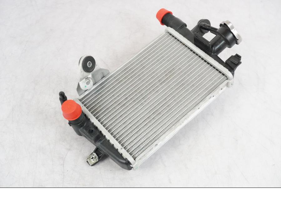 Snett uppifrån på Vattenkyl från en BMW R 1250 GSA -2021 motorcykel.