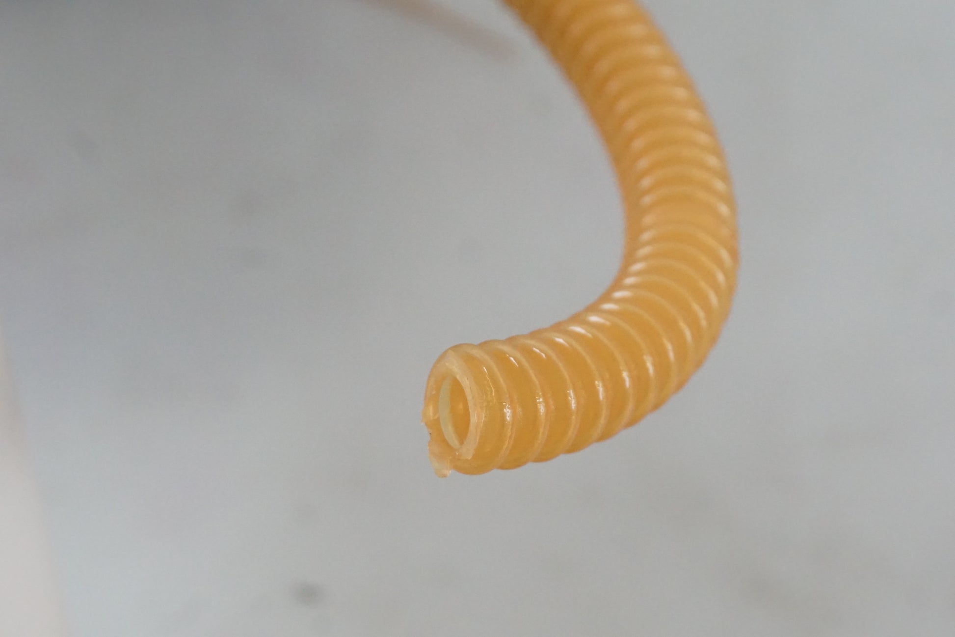 Vänster sida på Bensinpump insprut från en H-D Dyna Street Bob FXDB/I -2007 motorcykel.