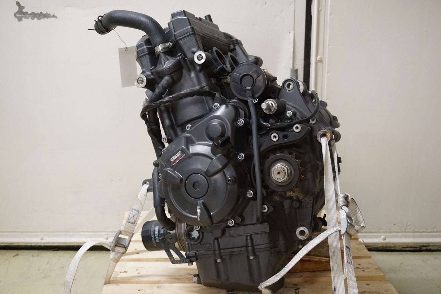 Motor