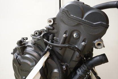 Motor