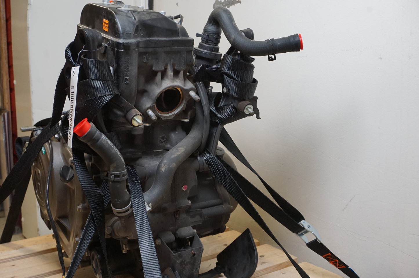 Motor