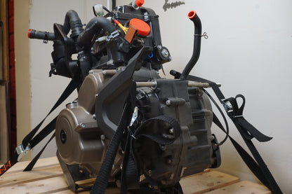 Motor