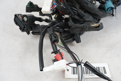 câble de branchement