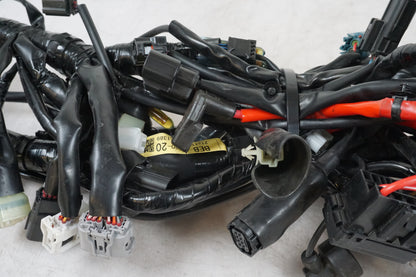 câble de branchement