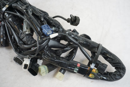 câble de branchement