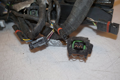 Extrabild1 på Kablage från en BMW K 1200 S -2007 motorcykel.