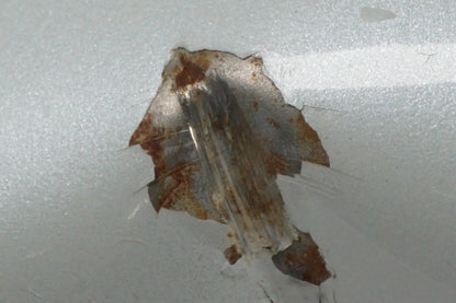 Vänster sida på Bensintank från en Honda CBR 600 -2011 motorcykel.