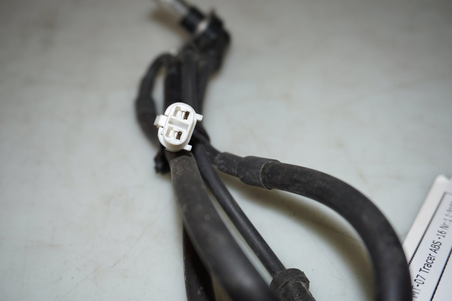 sensor ABS