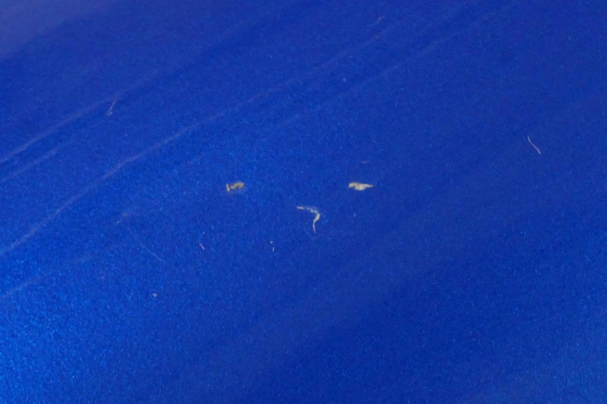 Vänster sida på Bensintank från en Honda CBR 1100 XX -2000 motorcykel.