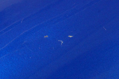 Vänster sida på Bensintank från en Honda CBR 1100 XX -2000 motorcykel.