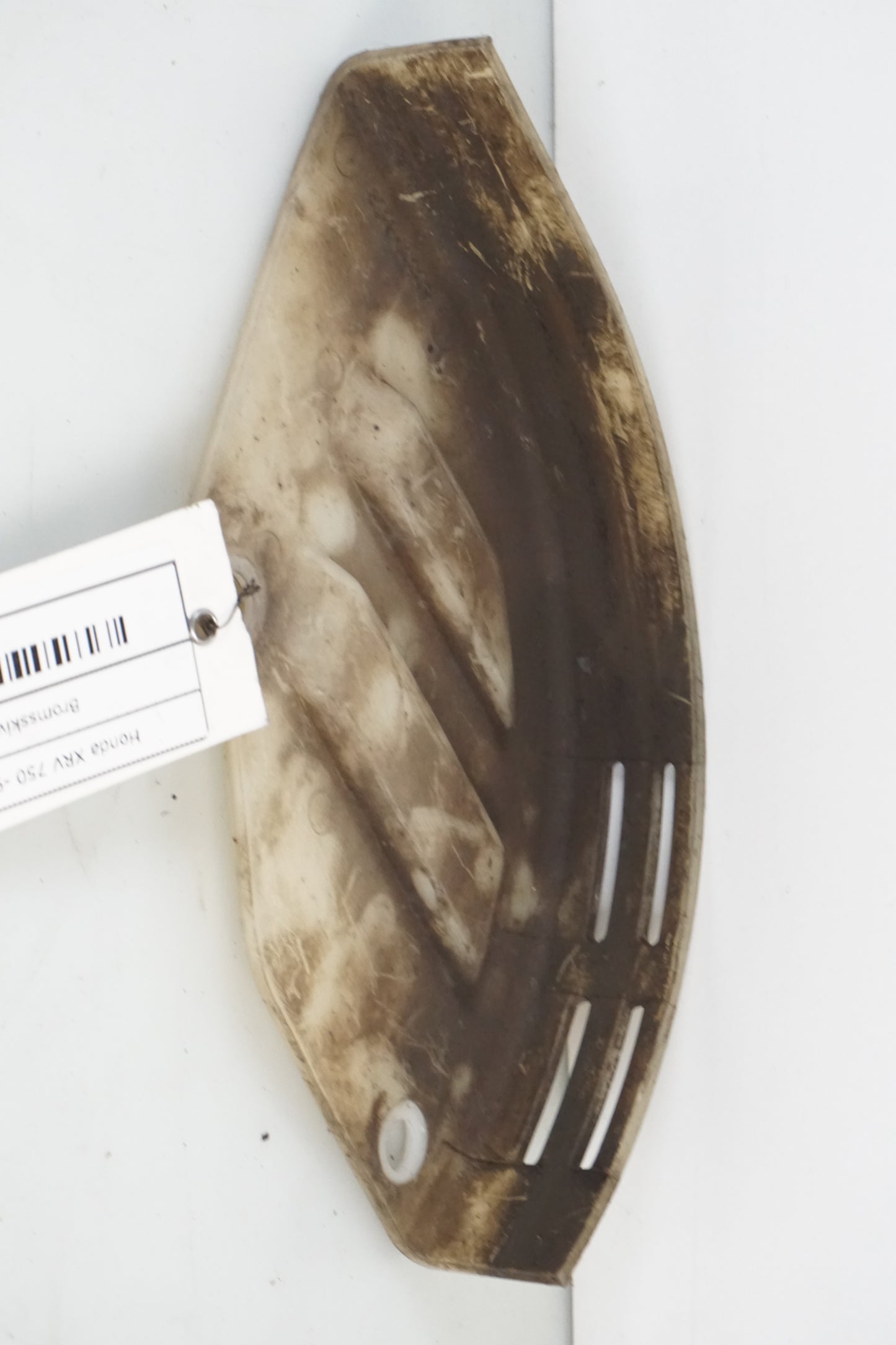 Framsidan på Bromsskivsskydd från en Honda XRV 750 -1994 motorcykel.