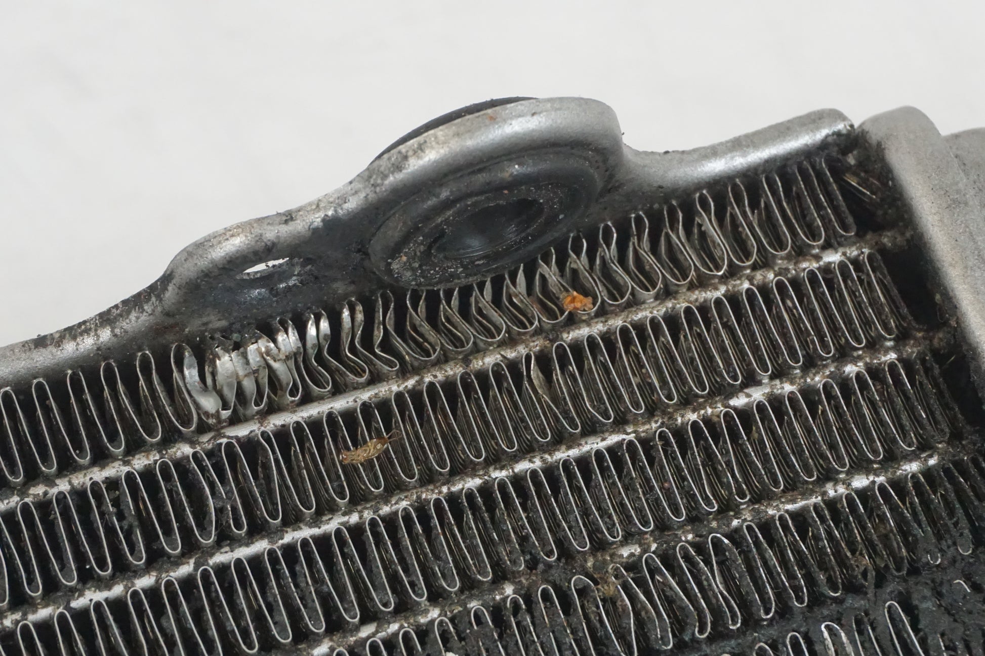 Extrabild6 på Vattenkyl från en Gasgas SM450 -2007 motorcykel.