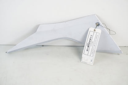 Framsidan på Sidopanel från en Kawasaki Ninja 300 -2014 motorcykel.