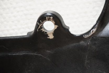 Extrabild1 på Bakvinge från en Triumph Speed Triple -2005 motorcykel.