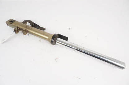 Fork leg