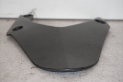 Baksidan på Svingskärm från en Triumph Daytona 675 -2009 motorcykel.