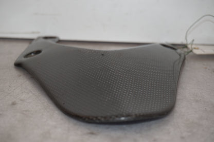 Baksidan på Svingskärm från en Triumph Daytona 675 -2010 motorcykel.