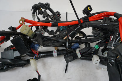 Câble de branchement