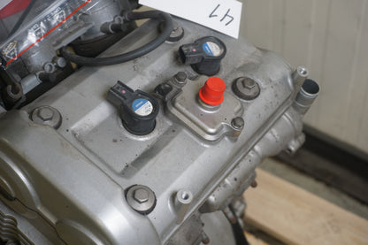 Motor