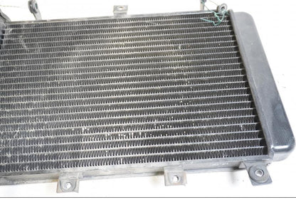 Höger sida på Vattenkyl från en Triumph TT 600 -2000 motorcykel.